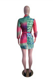 Colour Fashion Casual Print Basic Turndown Collar Shirt Dress