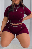Burgundy Casual Solid Patchwork Turtleneck Plus Size Two Pieces