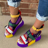 Фиолетовые модные повседневные лоскутные сандалии с круглыми дверцами