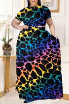 Leopard Print Fashion Casual Print Basic O Neck Plus Size Two Pieces