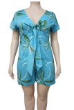 Baby Blue Sexy Print Patchwork V Neck Plus Size Jumpsuits