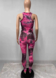 Pink Sexy Patchwork Patchwork O Neck Sleeveless Two Pieces