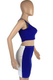 Blå Sexig Solid Rygglös Asymmetrisk En Shoulder Ärmlös Två delar