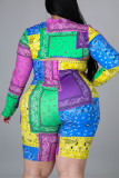 Multicolore Fashion Casual Print Basic Col Roulé Plus Size Two Pieces