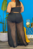 Black Sexy Solid Mesh Strapless Mesh Dress Plus Size Two Pieces