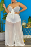 White Sexy Solid Mesh Strapless Mesh Dress Plus Size Two Pieces