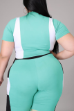 Green Sexy Color Block Patchwork Half A Turtleneck Plus Size Two Pieces