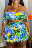 Multi-color Sexy Casual Print Backless Strapless Plus Size Two Pieces