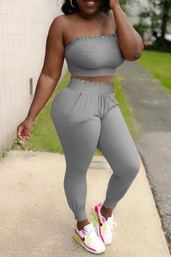 Grey Sexy Casual Solid Backless Strapless Two Pieces