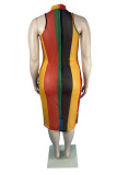 Flerfärgad Sexig Plus Size randig genomskinlig utan bälte Half A Turtleneck ärmlös klänning