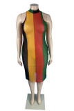Flerfärgad Sexig Plus Size randig genomskinlig utan bälte Half A Turtleneck ärmlös klänning