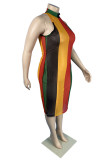Многоцветное сексуальное прозрачное платье больших размеров в полоску без пояса Половина водолазки без рукавов