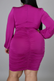 Purple Sexy Solid Patchwork V Neck Plus Size Dresses