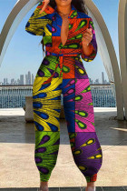 Multicolor Fashion Casual Print Basic Umlegekragen Regular Jumpsuits