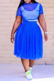 White Casual Solid Mesh O Neck Cake Skirt Plus Size Two Pieces
