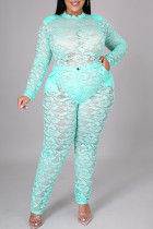 Mint green Sexy Solid Patchwork See-through O Neck Plus Size Two Pieces