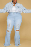 Zwarte sexy effen gescheurde plus size jeans