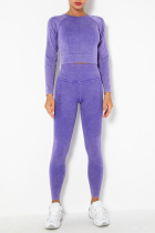 Фиолетовый Спортивная одежда Однотонный Пэчворк О-образным вырезом С длинным рукавом Из двух частей