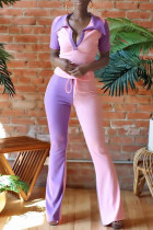 Розовый Фиолетовый Мода Повседневная Пэчворк Базовый V-образный вырез С коротким рукавом Из двух частей