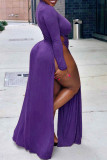 Púrpura Sexy Sólido Ahuecado Patchwork Frenulum Apertura alta Medio cuello alto Recto Vestidos de talla grande
