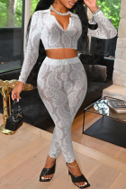 White Sexy Solid Lace Turndown Collar Long Sleeve Two Pieces
