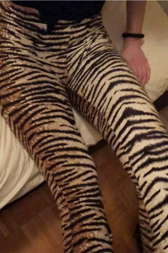 Tiger Pattern Wings Punk Retro Motorcycle Pants