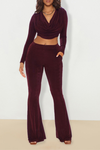 Burgundy Sexy Solid Patchwork V Neck Long Sleeve Two Pieces