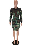 Leopard Print Sexy Casual Print Patchwork See-through O Neck Long Sleeve Dresses