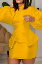 Желтый Мода Повседневная Твердая Пэчворк V-образный вырез с длинным рукавом Из двух частей