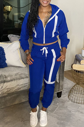 Blue Fashion Casual Patchwork Zipper Hooded Collar Long Sleeve Two Pieces