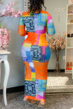 Multicolor Fashion Casual Print Basic Rollkragen Langarm Kleider