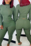 Зеленые модные повседневные однотонные базовые с круглым вырезом и длинным рукавом из двух частей