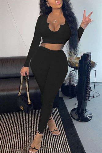 Black Fashion Casual Solid Basic V Neck Long Sleeve Two Pieces