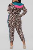 Ensemble imprimé léopard, tricot Sexy, imprimé léopard, Patchwork, col rond, grande taille