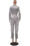 Silver Fashion Casual Solid Basic Turndown Collar Long Sleeve Two Pieces
