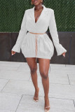 Weiß Mode Lässig Solide Grundlegend Umlegekragen Langarm Kleider (Ohne Taillenkette)