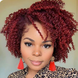 Brown Fashion Solid Hign-Temperature Resistance Curly Hair Perücken