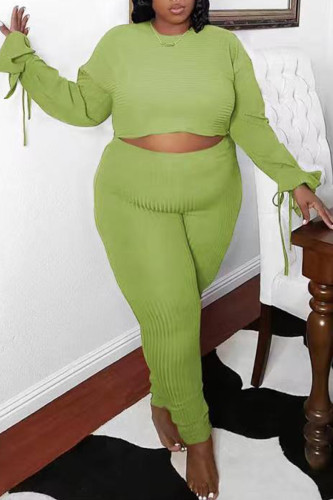 Light Green Fashion Casual Solid Basic O Neck Plus Size Two Pieces