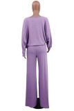 Purple Fashion Casual Solid Hollowed Out Patchwork O Neck Long Sleeve Three-piece Set