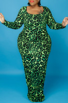Vestidos de moda casual verde estampa de leopardo básico O pescoço manga longa plus size