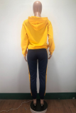 Yellow Casual Striped Solid Patchwork Hooded Collar Long Sleeve Two Pieces