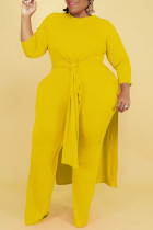 Желтый Повседневный Однотонный Пэчворк С разрезом О-образный вырез Длинный рукав Из двух частей