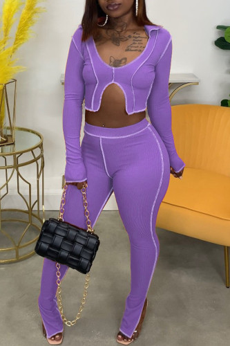 Purple Fashion Casual Solid Asymmetrical V Neck Long Sleeve Two Pieces