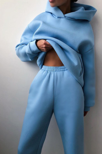 Blue Casual Print Patchwork Hooded Collar Long Sleeve Two Pieces