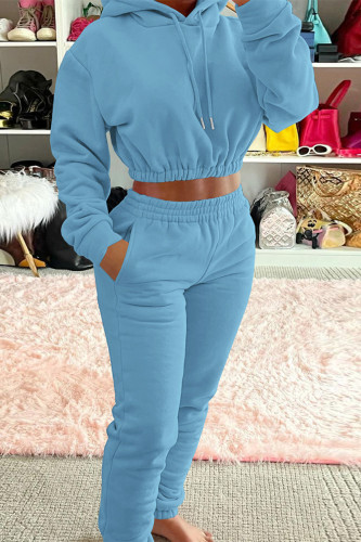 Light Blue Fashion Casual Solid Basic Hooded Collar Long Sleeve Two Pieces