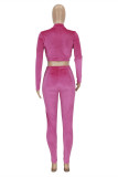 Pink Fashion Casual Solid Basic Zipper Collar Long Sleeve Two Pieces