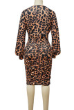 Estampado de leopardo Estampado sexy Patchwork Cuello en V con pliegues Vestidos de falda de un solo paso