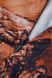 Brown Sexy Print Patchwork Zipper Zipper Collar Regular Jumpsuits