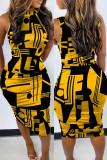 Multicolor Fashion Casual Print Basic Half A Turtleneck Sleeveless Dress
