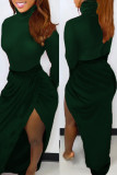 Grönt Mode Sexigt Solid Patchwork Genomskinliga turtleneck långärmade klänningar